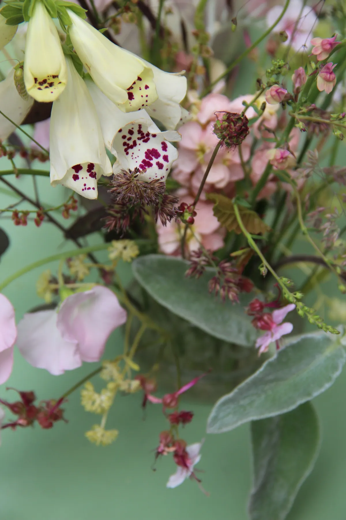 arsmea blumen 02