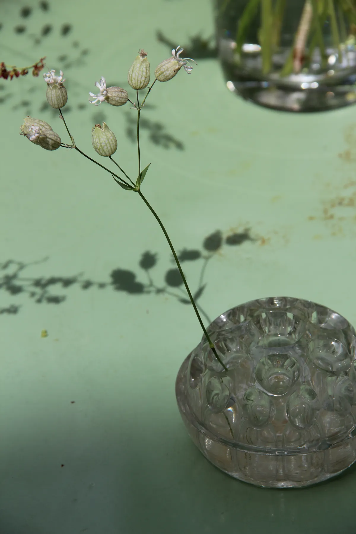arsmea blumen 04